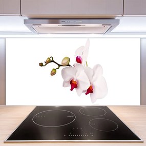 Sklenený obklad Do kuchyne Kvety príroda orchidea 120x60 cm