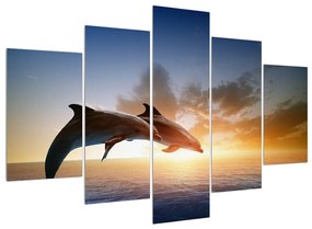 Obraz delfínov (150x105 cm)