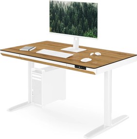 Elektrický písací stôl sit-stand so zásuvkou a bezdrôtovou nabíjačkou Qi biely/zlatý dub, 1200 mm: ELLIS