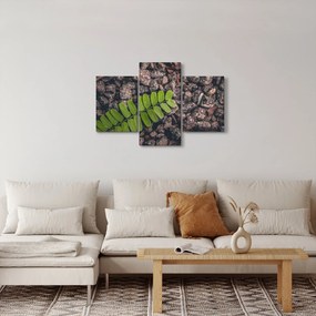 Obraz zelenej rastliny (90x60 cm)