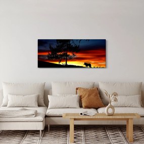 Obraz - Silueta vlka (120x50 cm)