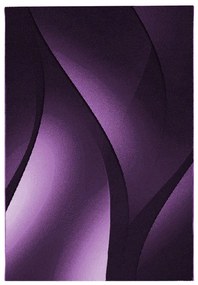 Ayyildiz, Kusový koberec Plus 8010 lila, 160x230, fialová, obývacia izba