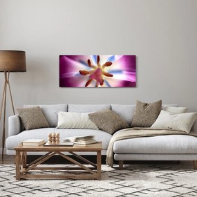 Obraz - Kvet tulipánu v detailu (120x50 cm)