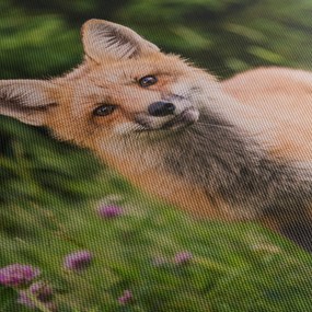 Obraz líšky (120x50 cm)