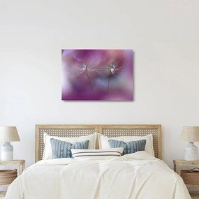Sklenený obraz kvapôčok na páperí (70x50 cm)