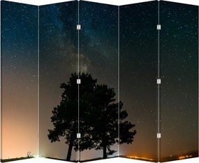 Paraván - Nočná obloha so stromami (210x170 cm)