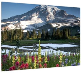 Sklenený obraz - Mount Rainier (70x50 cm)