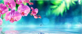 Obraz - Orchidea (120x50 cm)