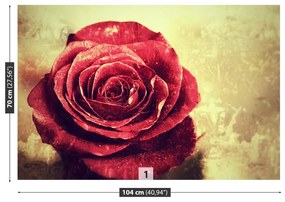 Fototapeta Vliesová Červená ruža 152x104 cm