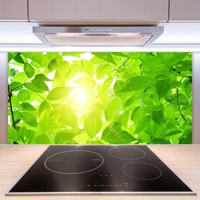 Sklenený obklad Do kuchyne Listy príroda slnko rastlina 125x50 cm