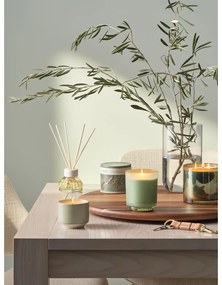 Difuzér Hinoki Sage – ILLUME x Bloomingville