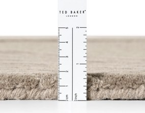 Ted Baker, Kusový koberec Ted Baker Kensington 106400 Beige, 200x300, béžová, kancelária