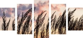 5-dielny obraz tráva pri zapadajúcom slnku - 200x100