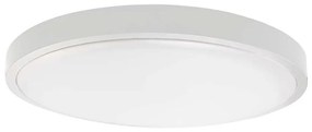 LED Kúpeľňové stropné svietidlo LED/18W/230V IP44 4000K pr. 25 cm biela