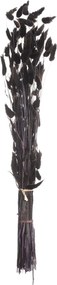 Kytica fúkačiek 60cm dark brown