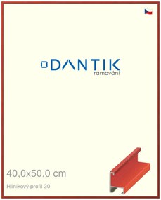 DANTIK rám na obraz 40x50 | ALU Dýha barevná červená třešeň (Plexi Čiré)