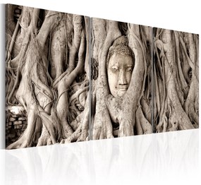 Artgeist Obraz - Meditation's Tree Veľkosť: 120x60, Verzia: Na talianskom plátne