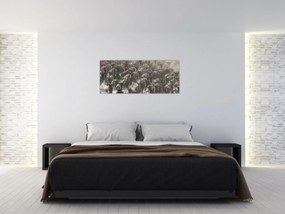 Obraz - Stádo pakoňov (120x50 cm)