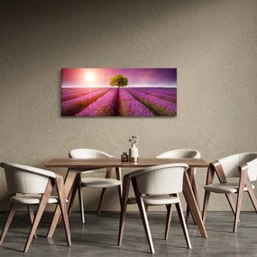 Obraz poľa s levanduľami (120x50 cm)
