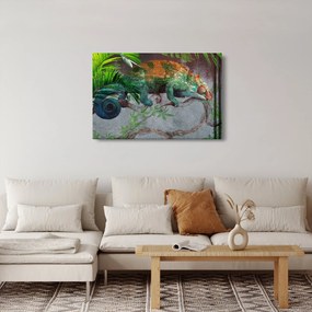 Obraz - Chameleon (90x60 cm)