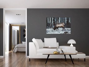 Obraz - jeleň v zime (90x60 cm)