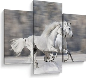 Obraz - Biele kone v zime (90x60 cm)