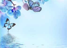 Obraz - Motýľ na kvetoch orchidey, modrý (70x50 cm)