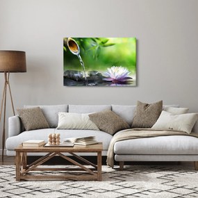 Obraz - Lotus (90x60 cm)
