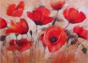 Obraz - Vlčie maky (70x50 cm)