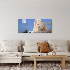 Obraz - Biely lev (120x50 cm)