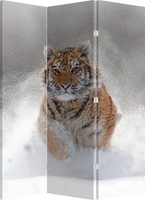 Paraván - Bežiaci tiger v snehu (126x170 cm)