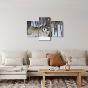 Obraz - Vlci v zime (90x60 cm)