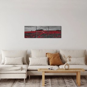 Obraz vlčích makov (s hodinami) (90x30 cm)