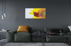 Sklenený obraz slnečnica motýľ 120x60 cm