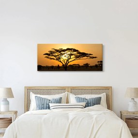 Obraz - Africká savana (120x50 cm)