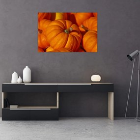 Obraz - Veľké tekvice (90x60 cm)