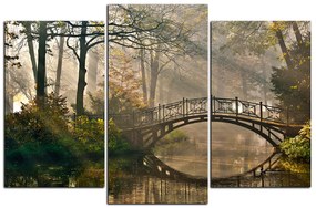 Obraz na plátne - Starý most  1139C (90x60 cm)
