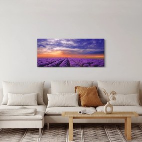 Obraz levanduľového pole (120x50 cm)