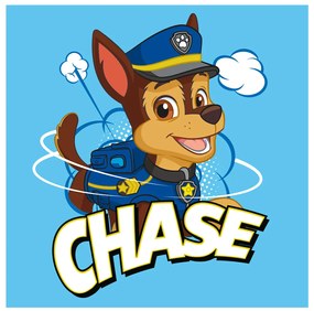 DETSKÝ LISOVANÝ BAVLNENÝ UTERÁK PAW PATROL 30X30 CM VZOROVANÝ