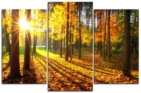 Obraz na plátne - Jesenný les 1176C (120x80 cm)