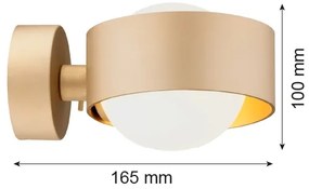 Argon 8567 - Kúpeľňové nástenné svietidlo MASSIMO PLUS 1xG9/6W/230V zlatá