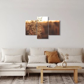 Obraz kvitnúcej trávy (90x60 cm)