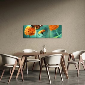 Obraz motýľa (s hodinami) (90x30 cm)