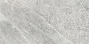 Dlažba Electra Pearl Natural 60x120 R