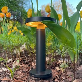 Zuma Line DT33611 - LED Solárna lampa CARLI LED/2W/2000 mAh IP44 čierna