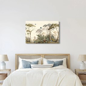 Obraz - Amazonský prales (90x60 cm)