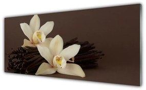 Skleneny obraz Kvety vanilky do kuchyne 100x50 cm