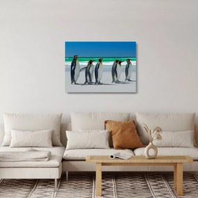 Sklenený obraz - Skupina kráľovských Tučniakov (70x50 cm)