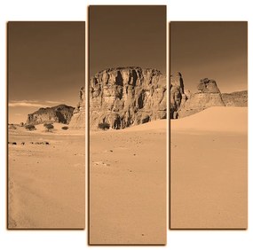 Obraz na plátne - Cesta v púšti - štvorec 3129FC (75x75 cm)