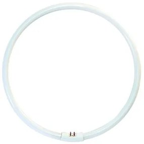 FULGUR Úsporná kruhová žiarivka OPPLE YH, 40W, G10q, studená biela, 28cm
